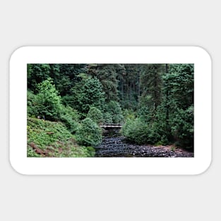 Silver Falls State Park Oregon Sticker